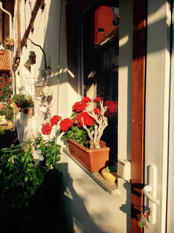 Am Mathildenbrunnen Klein Daire Quedlinburg Dış mekan fotoğraf