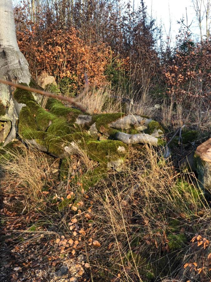 Am Mathildenbrunnen Klein Daire Quedlinburg Dış mekan fotoğraf