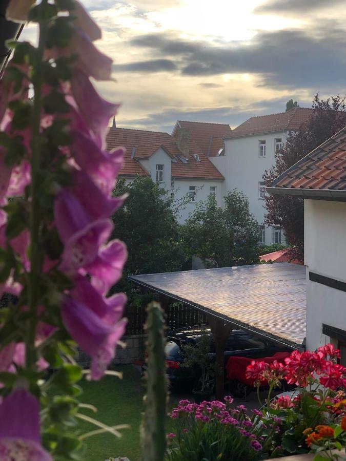 Am Mathildenbrunnen Klein Daire Quedlinburg Dış mekan fotoğraf